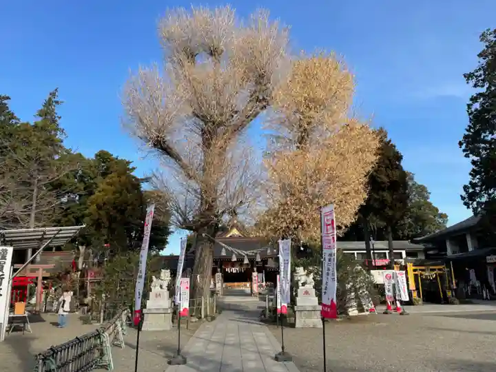 亀ケ池八幡宮(神奈川県)