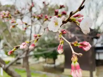 竹渕神社(大阪府)