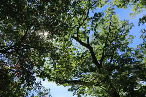 阿邪訶根神社の自然