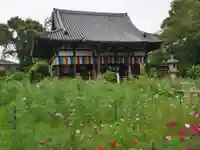 般若寺 ❁コスモス寺❁の庭園