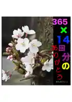 耕田院(山形県)