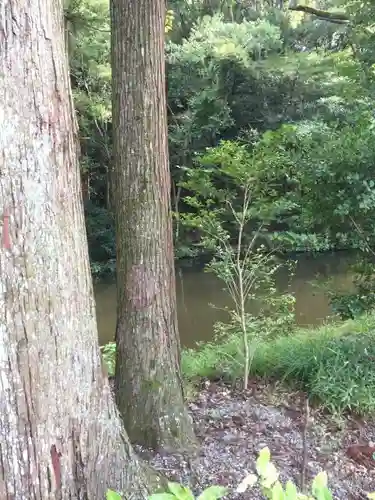 伊勢神宮外宮（豊受大神宮）の自然