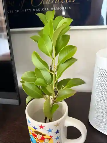 東京羽田 穴守稲荷神社(東京都)
