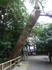 御食神社（豊受大神宮摂社）の建物その他