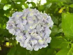 常泉寺の自然