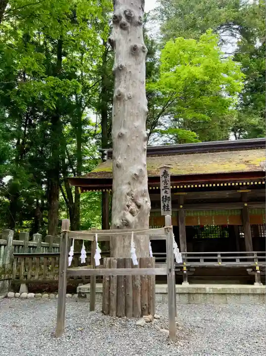 諏訪大社下社春宮(長野県)