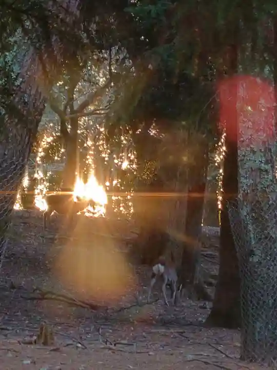 春日大社のその他建物