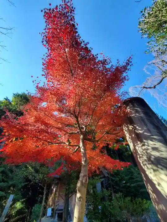 開成山大神宮(福島県)