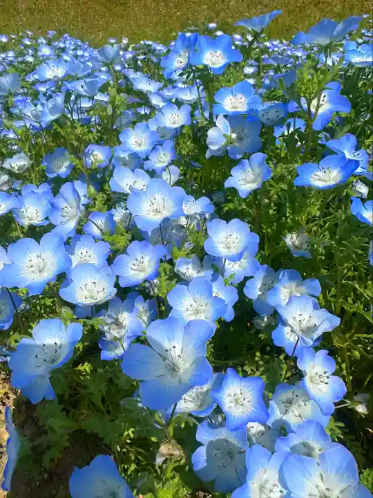 津島本宮社(宮城県)