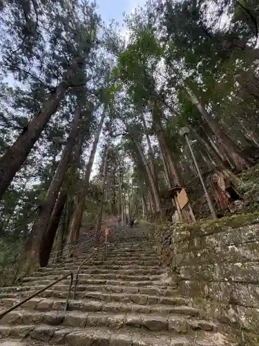 飛瀧神社（熊野那智大社別宮）の{uncategorized: "未分類", other: "その他", undefined: "問題あり", building: "その他建物", grave: "お墓", sacred_gate: "鳥居", guardian: "狛犬", statue: "像", buddha: "仏像", history: "歴史", nature: "自然", garden: "庭園", animal: "動物", pagoda: "塔", temizu: "手水舎", mountain_gate: "山門・神門", sanctuary: "本殿・本堂", subordinate: "末社・摂社", art: "芸術", scenery: "景色", jizo: "地蔵", ema: "絵馬", goshuin: "御朱印", omikuji: "おみくじ", items: "授与品その他", amulet: "お守り", goshuincho: "御朱印帳", eats: "食事", festival: "お祭り", votive_dance: "神楽", shichigosan: "七五三参", wedding: "結婚式", experience: "体験その他", initially: "初詣", around: "周辺", anti_infection: "感染症対策"}