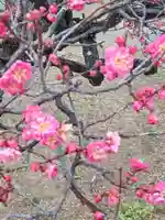 薬師寺(奈良県)