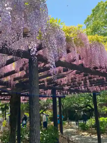 玉敷神社(埼玉県)