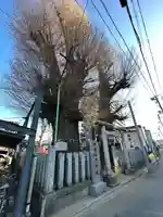 出世稲荷神社(埼玉県)