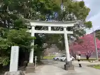 川津来宮神社の鳥居