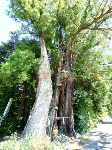 萩日吉神社(埼玉県)