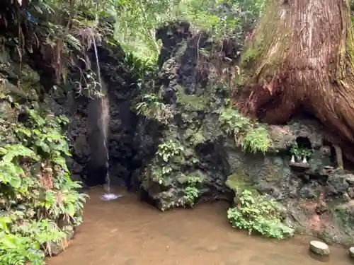 目の霊山　油山寺の自然