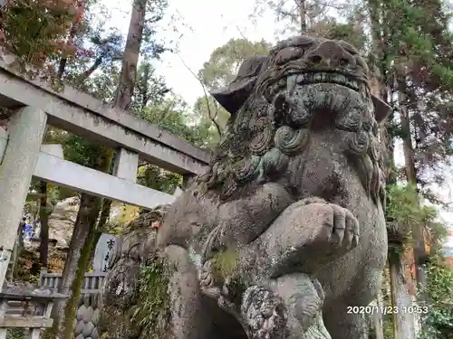 針綱神社の狛犬