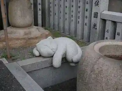 荻窪白山神社の狛犬