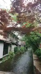 八坂神社(祇園さん)の周辺