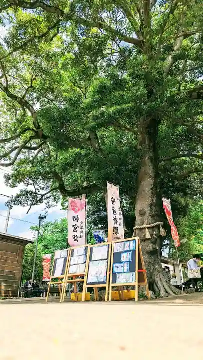 大宮・大原神社の自然