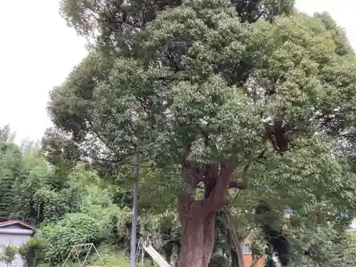 御嶽神社（生沢）(神奈川県)