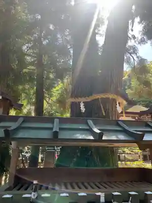 大神神社(奈良県)