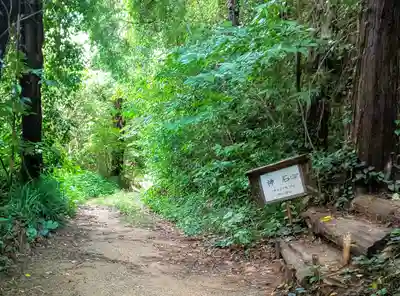 神在神社の自然