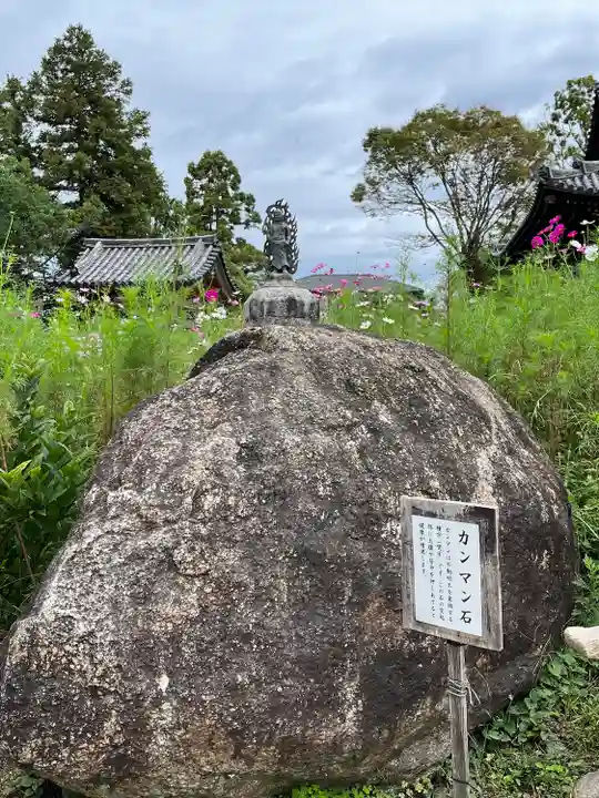 般若寺 ❁コスモス寺❁(奈良県)