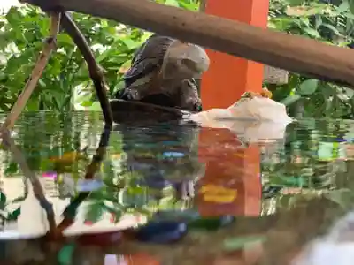 野島神社の手水舎