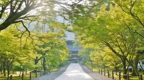 南禅寺の建物その他