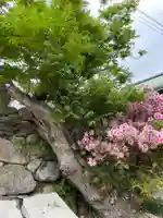 實相寺(兵庫県)