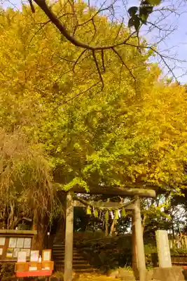 葛原岡神社(神奈川県)