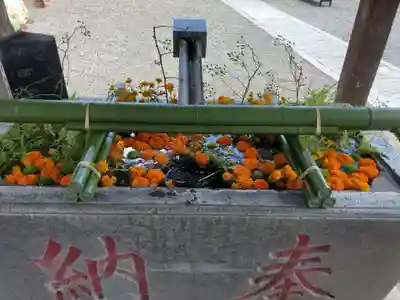 草加神社(埼玉県)