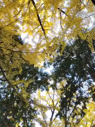 積田神社の{uncategorized: "未分類", other: "その他", undefined: "問題あり", building: "その他建物", grave: "お墓", sacred_gate: "鳥居", guardian: "狛犬", statue: "像", buddha: "仏像", history: "歴史", nature: "自然", garden: "庭園", animal: "動物", pagoda: "塔", temizu: "手水舎", mountain_gate: "山門・神門", sanctuary: "本殿・本堂", subordinate: "末社・摂社", art: "芸術", scenery: "景色", jizo: "地蔵", ema: "絵馬", goshuin: "御朱印", omikuji: "おみくじ", items: "授与品その他", amulet: "お守り", goshuincho: "御朱印帳", eats: "食事", festival: "お祭り", votive_dance: "神楽", shichigosan: "七五三参", wedding: "結婚式", experience: "体験その他", initially: "初詣", around: "周辺", anti_infection: "感染症対策"}