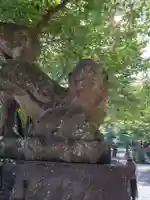 鷲宮神社(埼玉県)