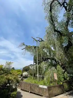 慈雲寺(山梨県)