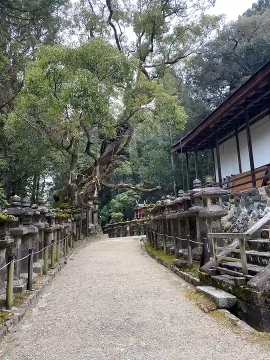 夫婦大國社(春日大社末社)(奈良県)