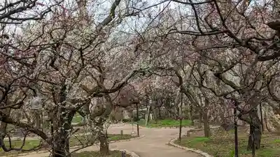 北野天満宮(京都府)