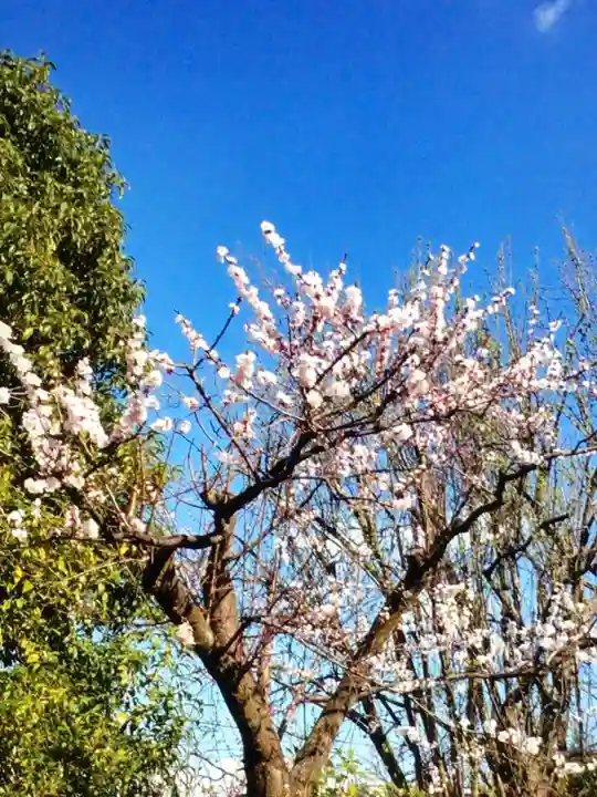 福蔵院(東京都)