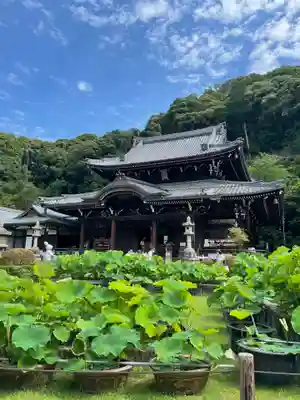 三室戸寺の本殿・本堂