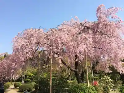 法金剛院(京都府)