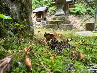 水谷神社の動物