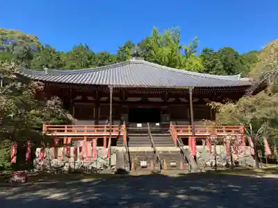 醍醐寺(京都府)