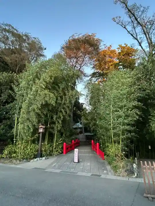武蔵一宮氷川神社(埼玉県)