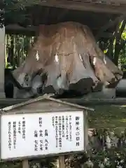 宇奈岐日女神社の自然