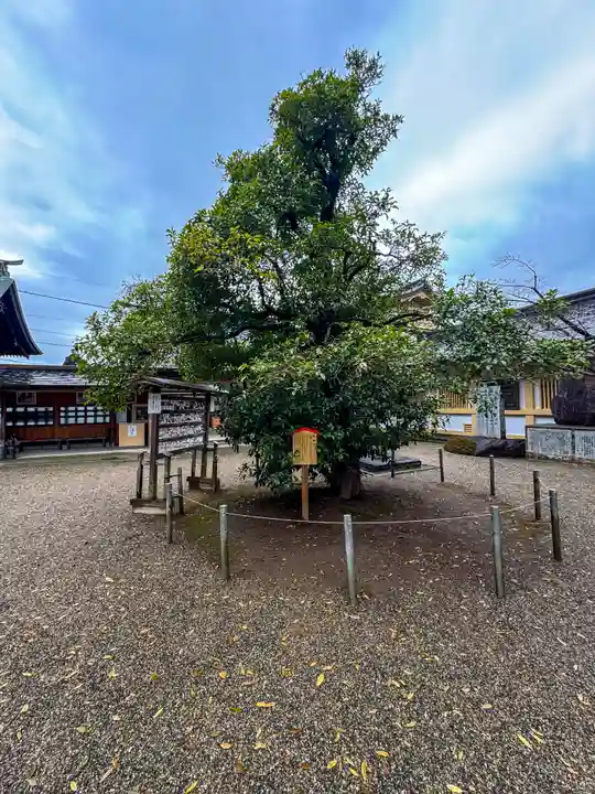 大宮神社(熊本県)