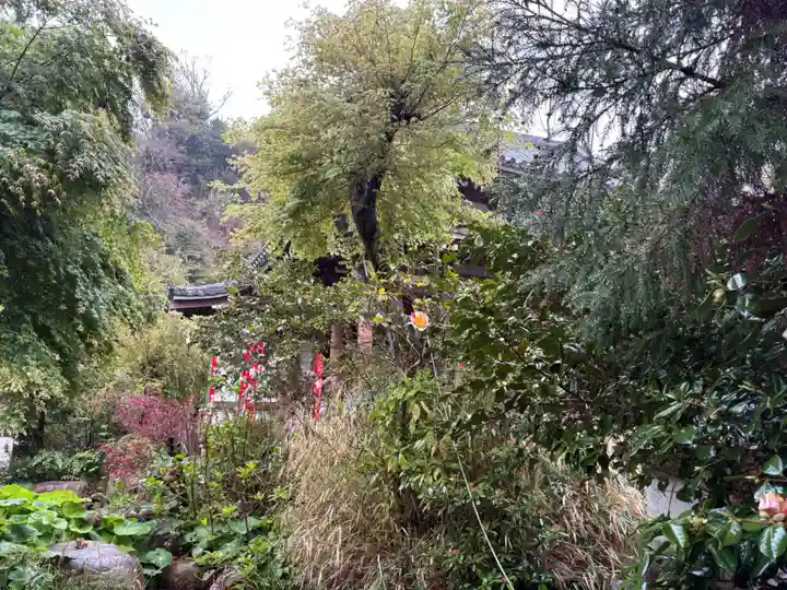 妙法寺(兵庫県)