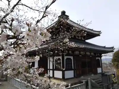 くろ谷 金戒光明寺(京都府)
