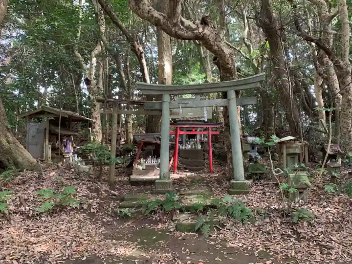 渡海神社の鳥居