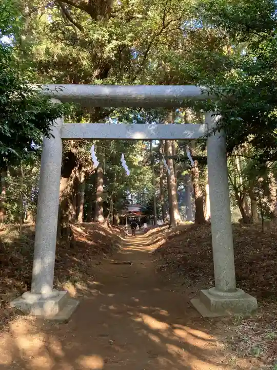 老尾神社(千葉県)